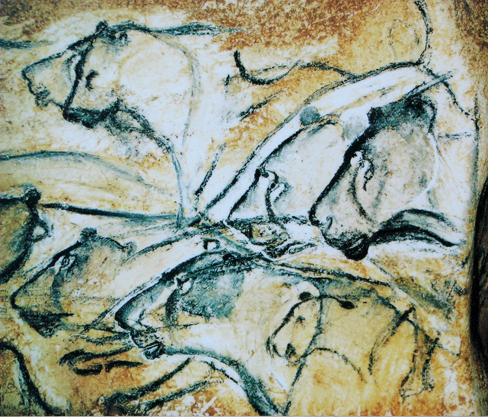 Lions from Chauvet cave via Wiki commons