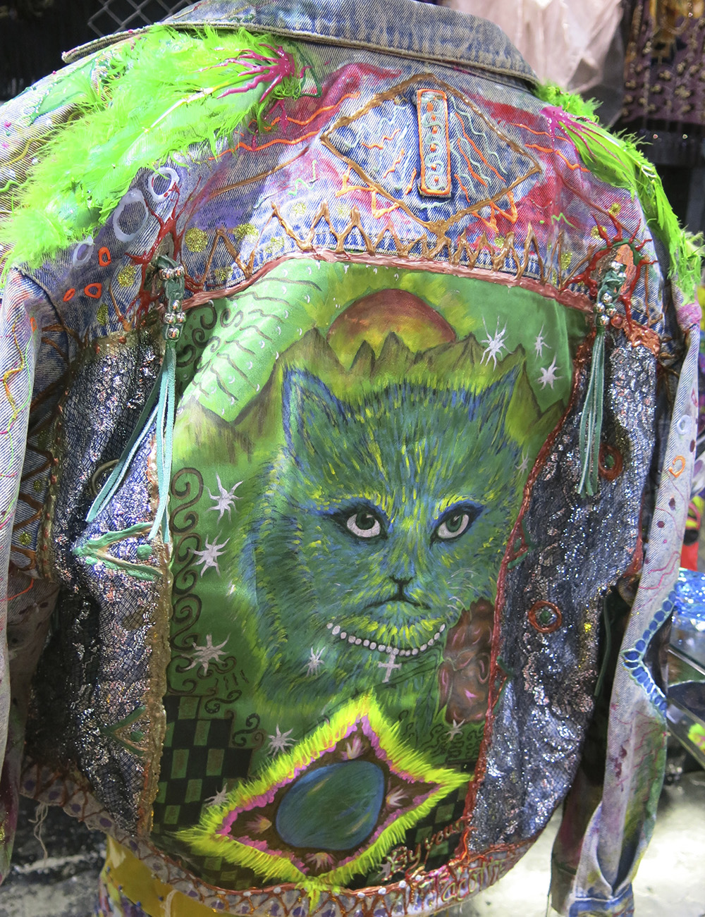 Hand painted cat jacket