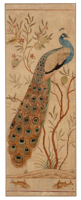 Multi-patterned luggage tag Peacock Decor Portrait Of The Peacock During Courtship Display Eye Spotted Tail Tropics Natural Double-sided printing W2.7 x L4.6